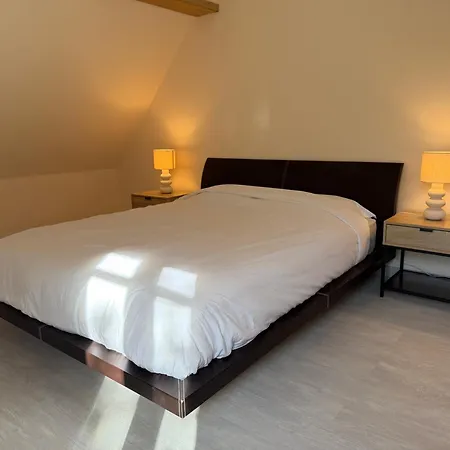 Maison Des Vignes 3* קייסרסברג